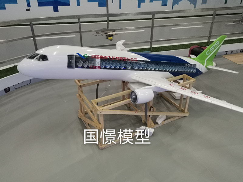 益阳飞机模型